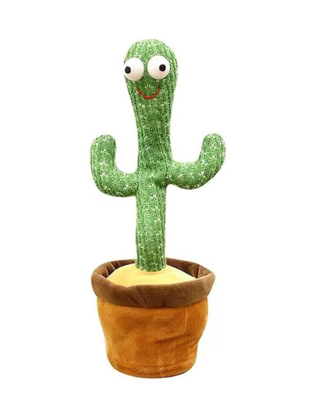 Cactus bailarín Muytu